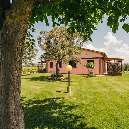 Agriturismo Il Laghetto โกรเซตโต ภายนอก รูปภาพ
