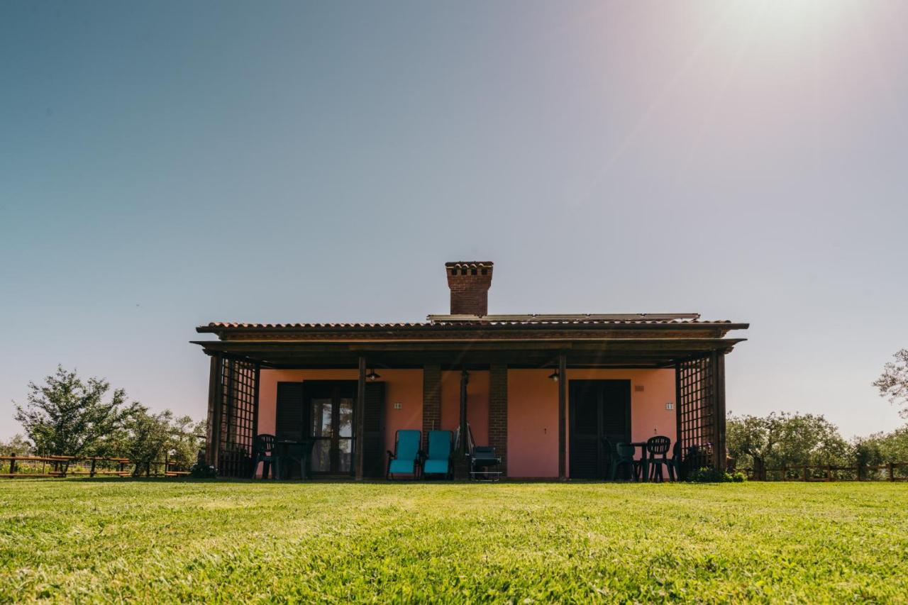 Agriturismo Il Laghetto โกรเซตโต ภายนอก รูปภาพ