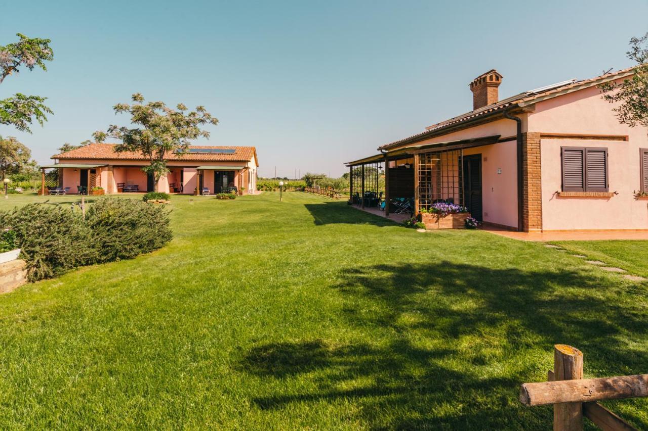Agriturismo Il Laghetto โกรเซตโต ภายนอก รูปภาพ