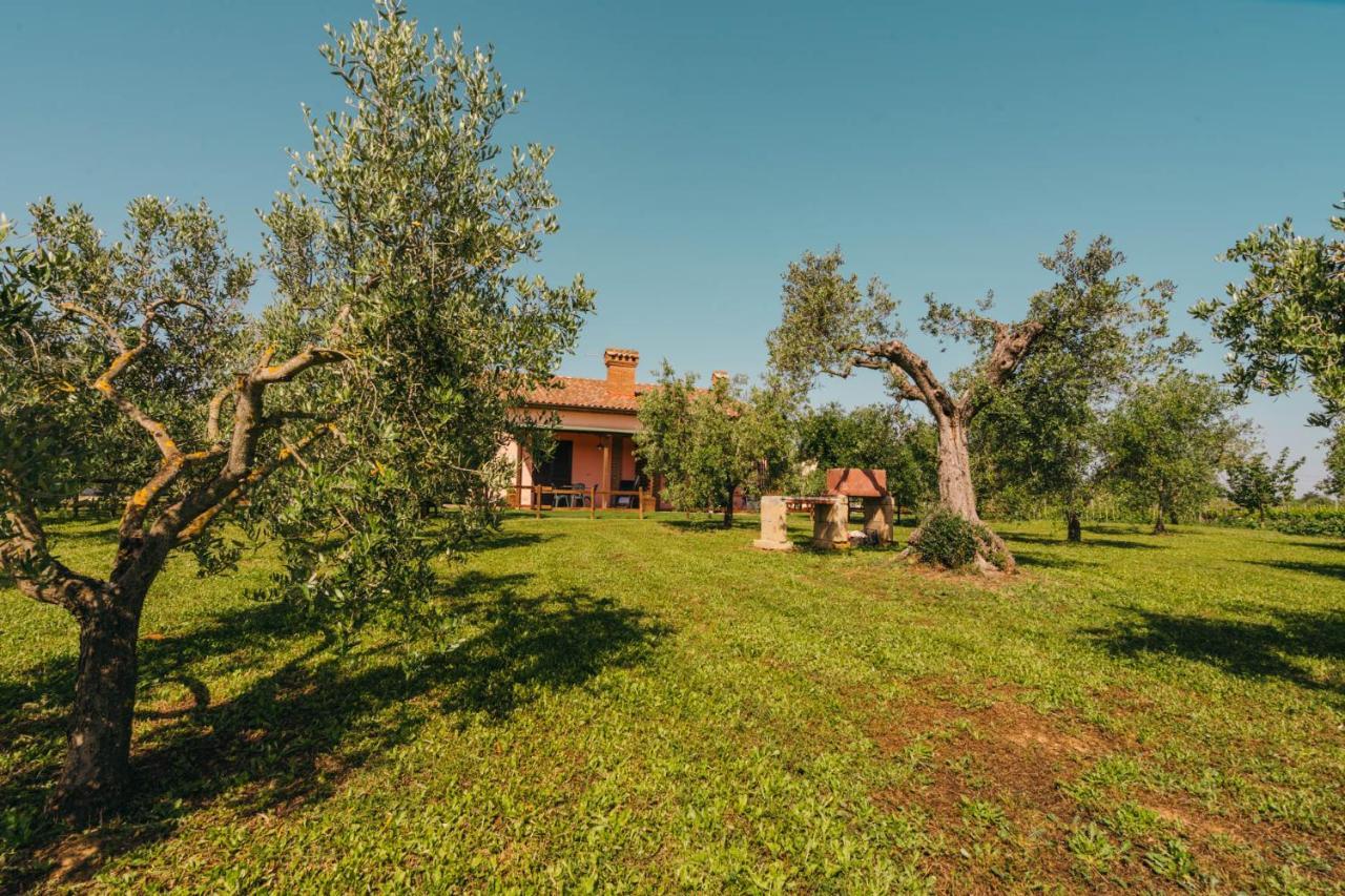 Agriturismo Il Laghetto โกรเซตโต ภายนอก รูปภาพ