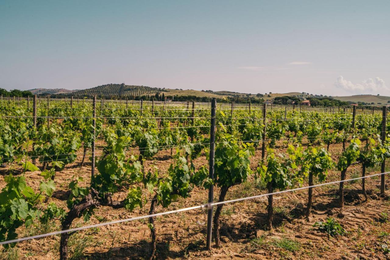 Agriturismo Il Laghetto โกรเซตโต ภายนอก รูปภาพ