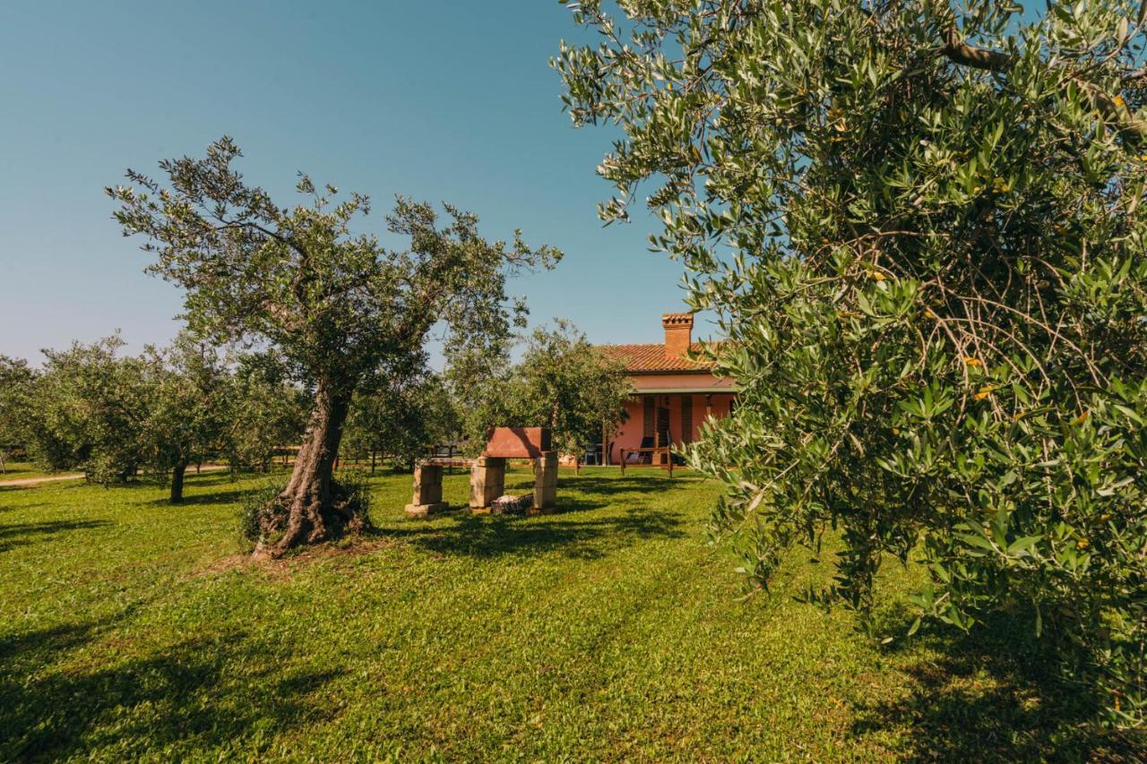 Agriturismo Il Laghetto Villa โกรเซตโต ภายนอก รูปภาพ